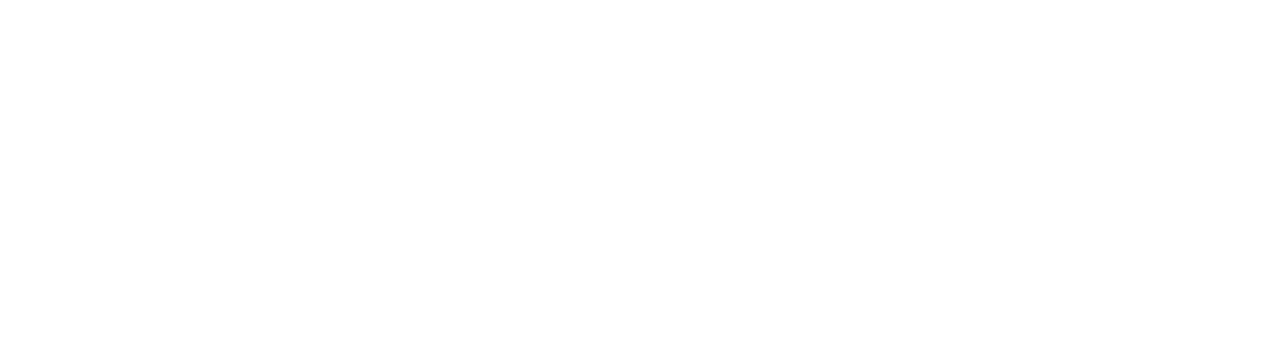 DukeSoft BV Logo